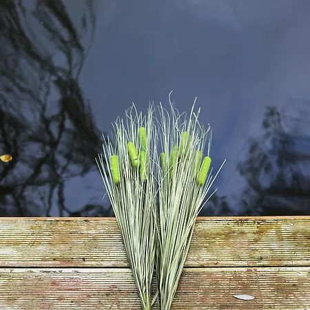 Lethe Exclusive (adults Only) * Ağva