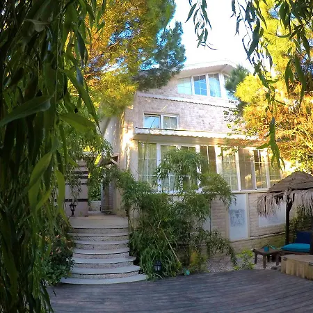 Lethe Exclusive (adults Only) * Ağva