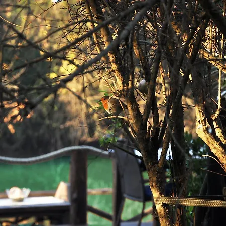 酒店 莱塞专属住宿加早餐旅馆