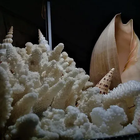 莱塞专属住宿加早餐旅馆 阿瓦