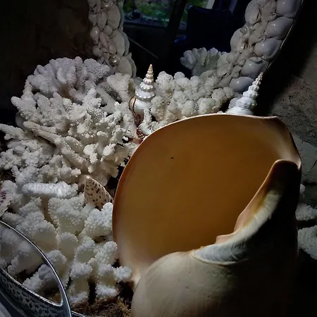 酒店 莱塞专属住宿加早餐旅馆