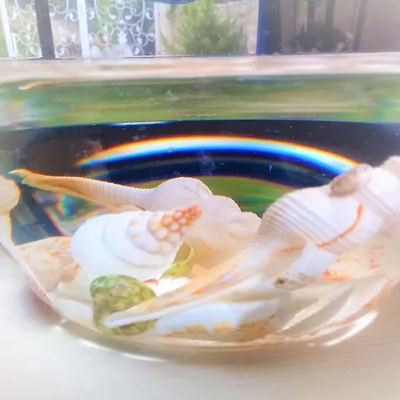 莱塞专属住宿加早餐旅馆 阿瓦